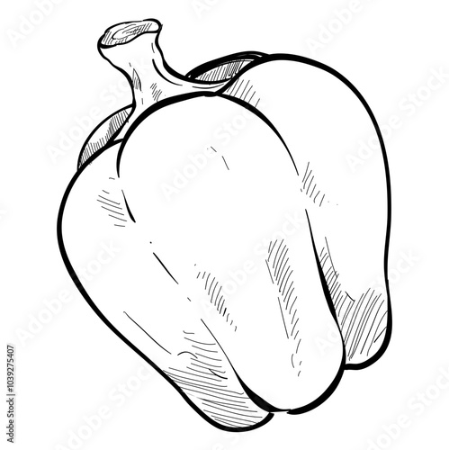 paprika handdrawn illustration