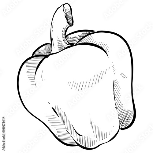 paprika handdrawn illustration