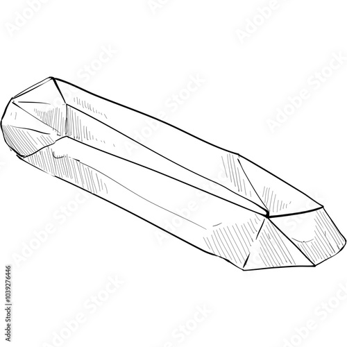 salt handdrawn illustration