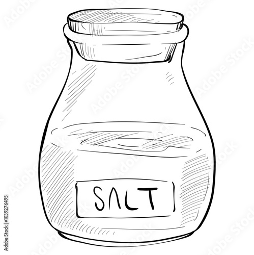 salt handdrawn illustration