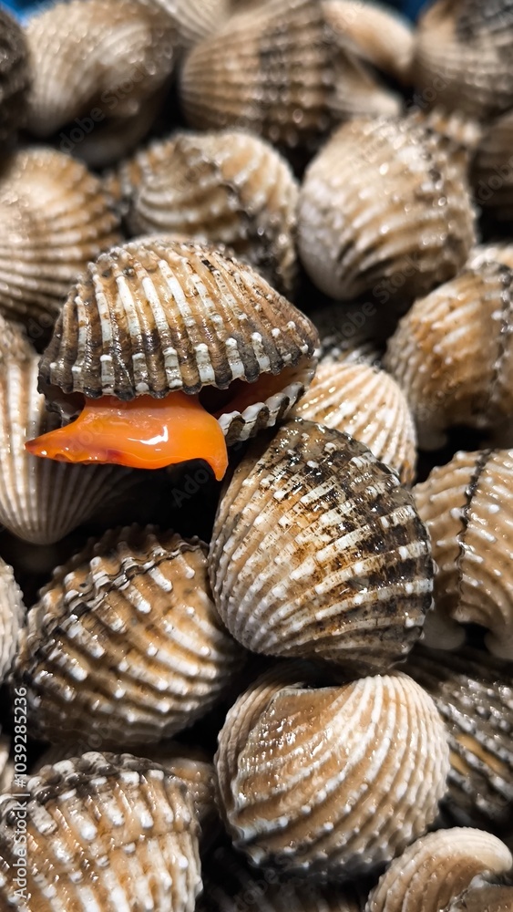 Clams in a restaurant. Seafood. Clams in a restaurant. Seafood.