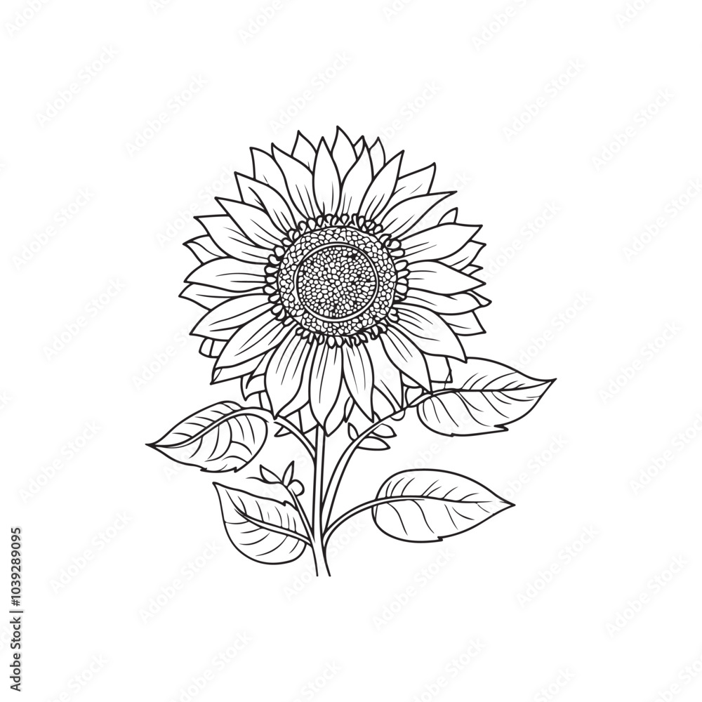 Fototapeta premium Sunflower flower outline illustration coloring book page design, Sunflower flower black and white line art drawing coloring book pages for children and adults
