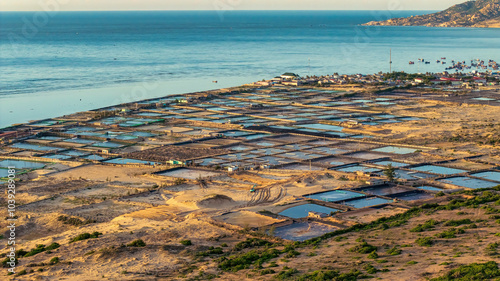 Aerial view of the prawn farm with aerator pump in front of Ninh Phuoc, Ninh Thuan, Vietnam. The growing aquaculture business continuously threatening the nearby wetlands. photo