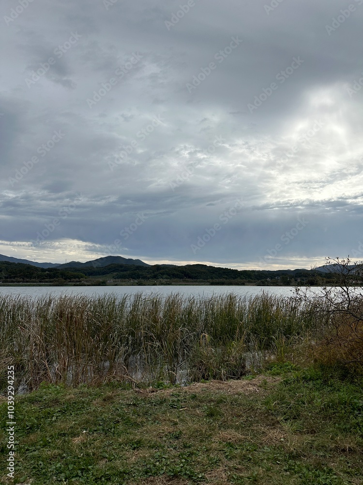 Fototapeta premium 가을 풍경