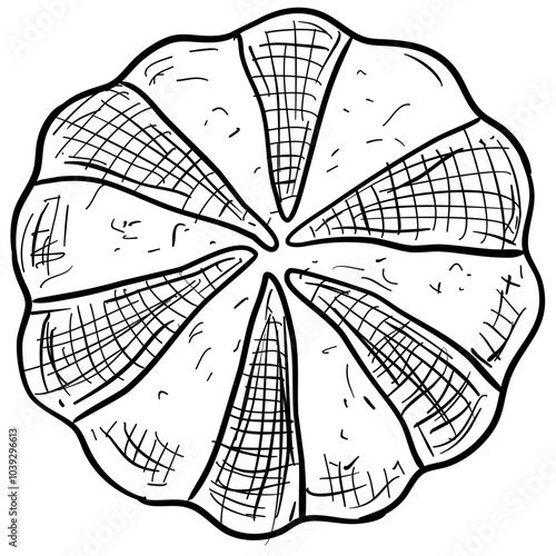 cookies handdrawn illustration