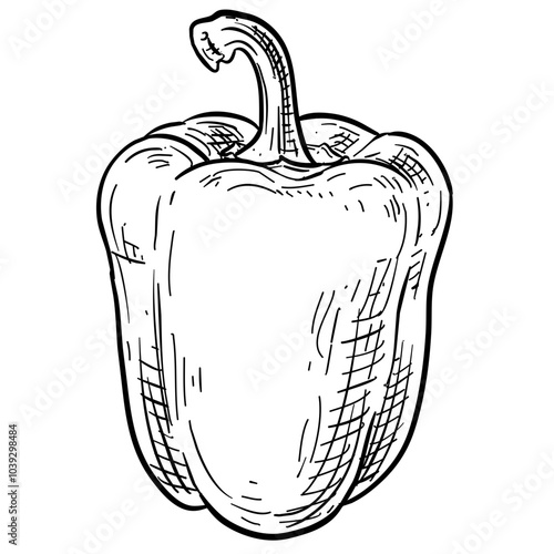 paprika handdrawn illustration