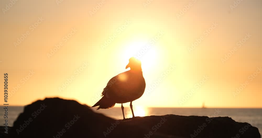 sunset on the beach