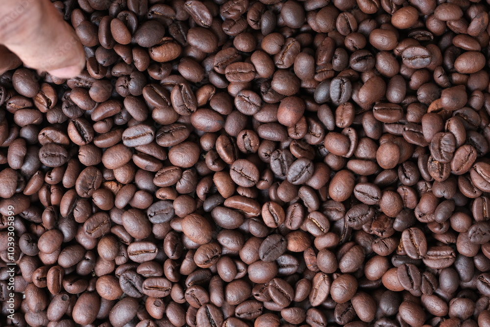 Roasted coffee beans for background Roasted coffee beans for background
