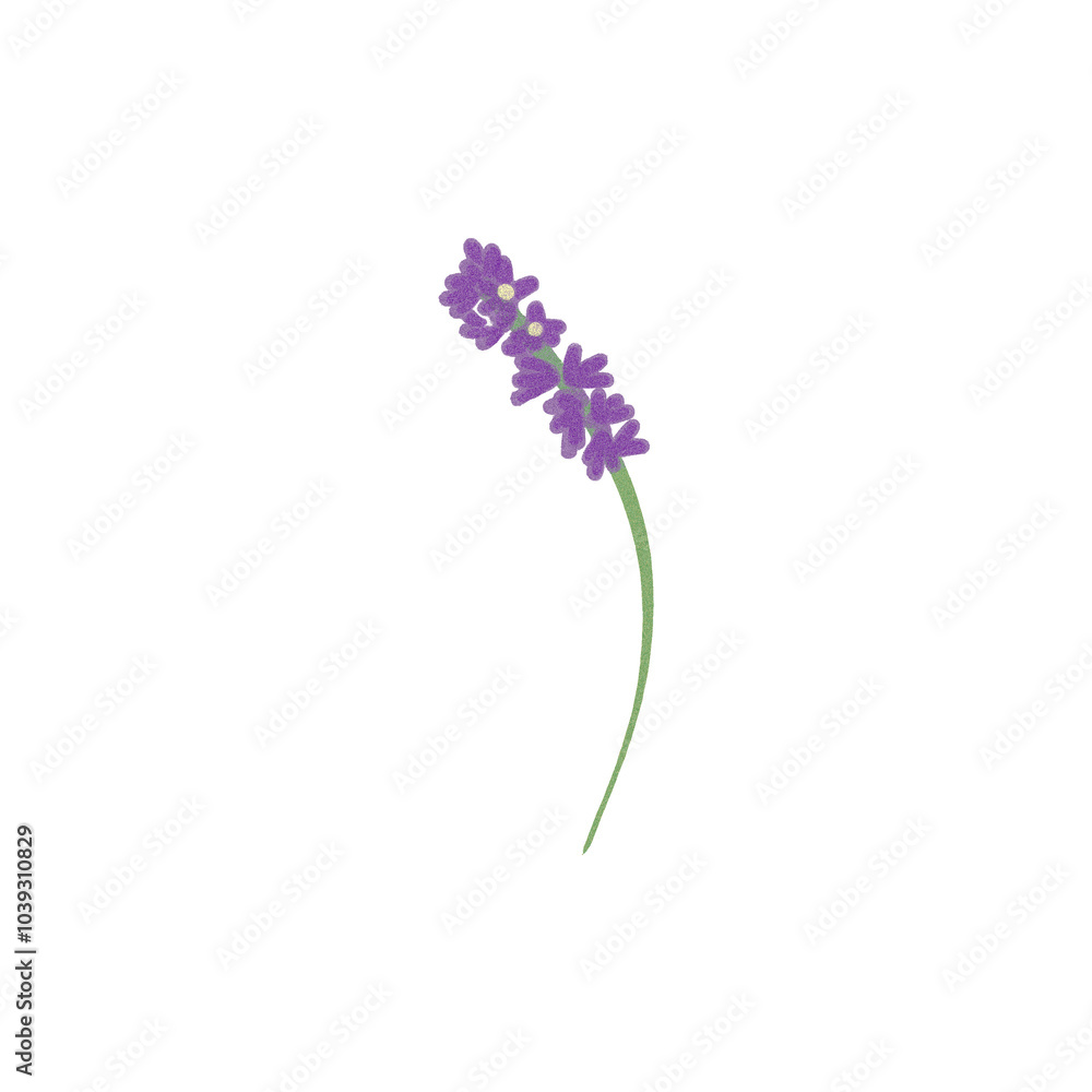 Lavender - Dari Mitha Lavender - Dari Mitha