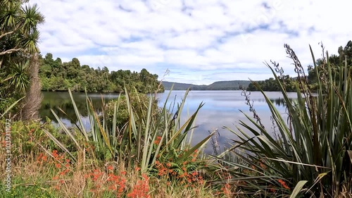 Lake Mapourika: Serene Reflections and Outdoor Recreation on the West Coast of the South Island, New Zealand photo