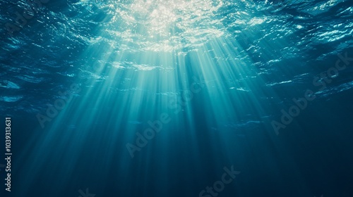 Sunbeams shining through the ocean surface, creating a light show underwater.