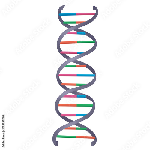 DNA