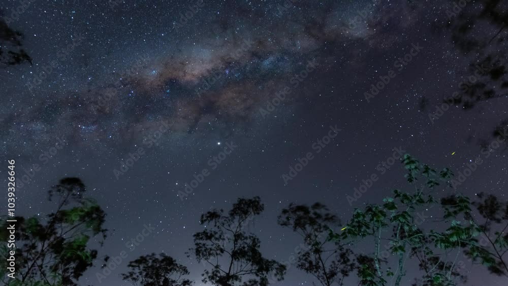 stars in the sky stars in the sky