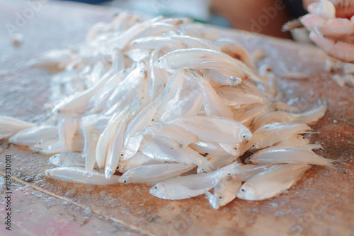 pile of fish at the market photo