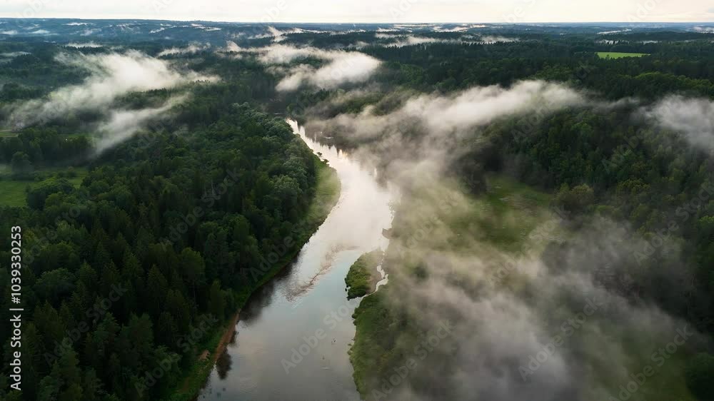 Spectacular Aerial Views Of Gauja National Park, Latvia; Beautiful White Mist Evaporating Over The River Valley And Wetland Ecosystem. Spectacular Aerial Views Of Gauja National Park, Latvia; Beautiful White Mist Evaporating Over The River Valley And Wetland Ecosystem.