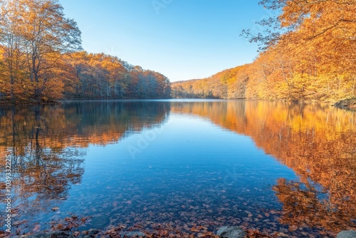 Autumn foliage reflected on serene lake in tranquil forest