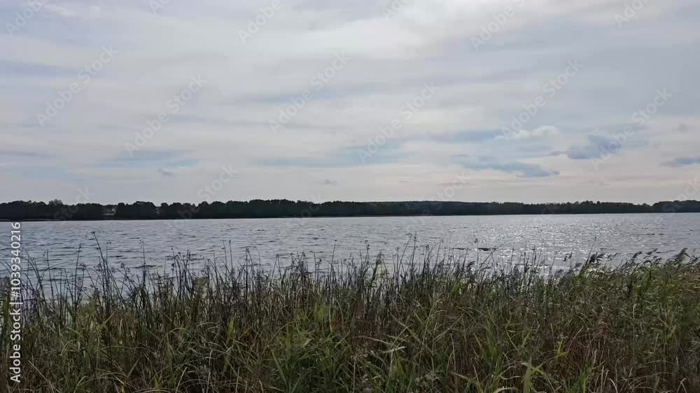 Tranquil lakeside view with lush grass and serene water under a cloudy sky in the early hours of a beautiful day. Generative AI Tranquil lakeside view with lush grass and serene water under a cloudy sky in the early hours of a beautiful day. Generative AI