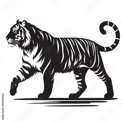 Black and white silhouette of a tiger walking with its tail curled.