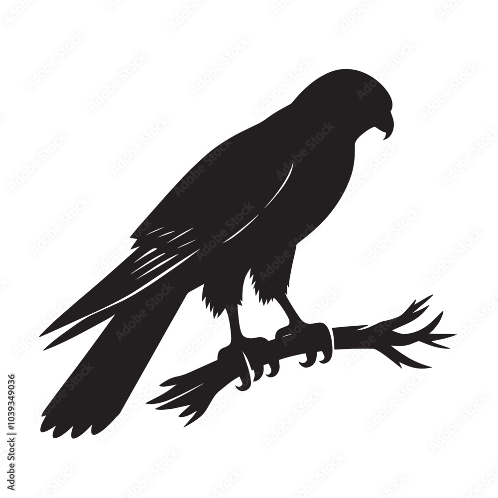 Fototapeta premium Black silhouette of a bird of prey on a branch.