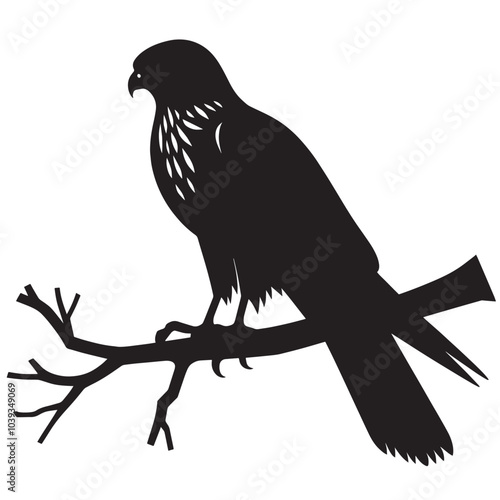 Black silhouette of a bird perched on a branch with a white background.