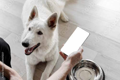 Hand with white screen phone near a hungry dog with an empty bowl. The concept of online ordering food for pets. Food delivery for domestic animals. Pet shop. Animal feed