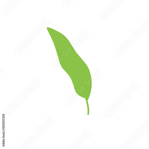 vector green tropical leaf