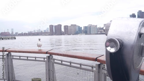 New York City waterfront skyline, Manhattan Midtown buildings, riverfront skyscrapers, East river. Waterside cityscape, tower viewer, Gantry Plaza. Long Island, Queens. United States tourism. Seagull.