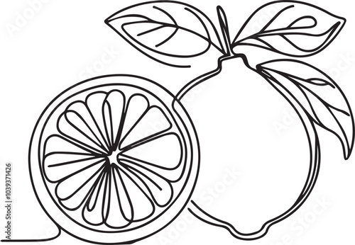 lemon outline of one line art vector illustration