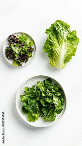 Fresh Green Salad Leaves in Bowls on White Background