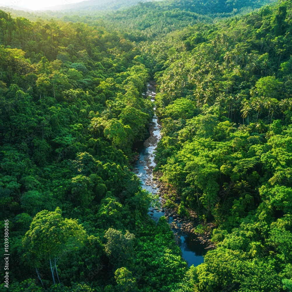 Lush Green Landscape with River Flowing Through Tropical Forest at Sunrise Lush Green Landscape with River Flowing Through Tropical Forest at Sunrise