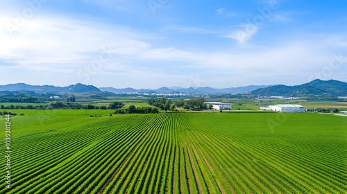 Pastoral Farmlands Merge with Modernizing Cityscape on the Horizon