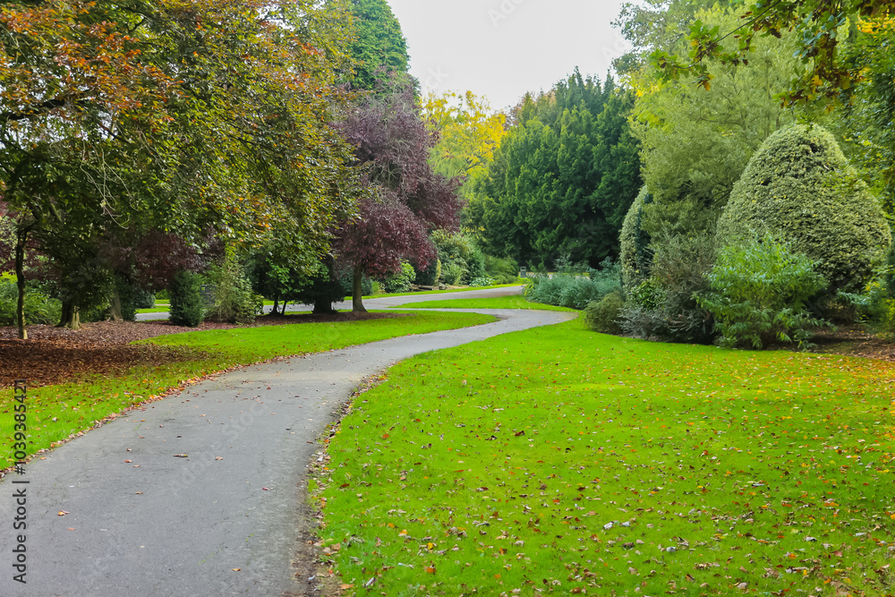 Autumn time in a park in the UK. Autumn time in a park in the UK.