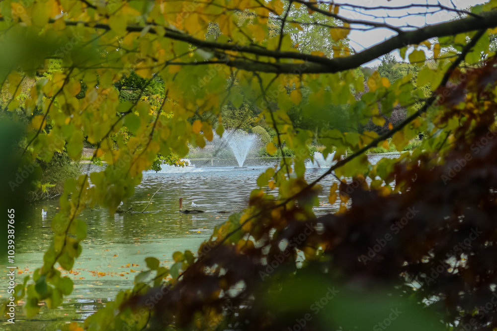 Autumn in a park around a lake in the UK. Autumn in a park around a lake in the UK.