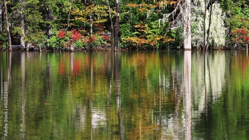 A quiet play in the bosom of nature, the lake
