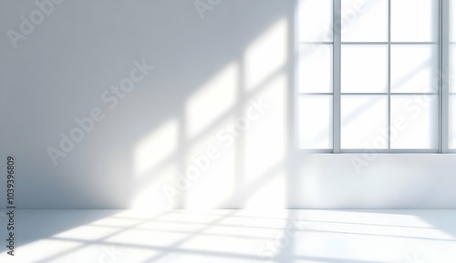 Bright Shadows on a White Wall with Window Light