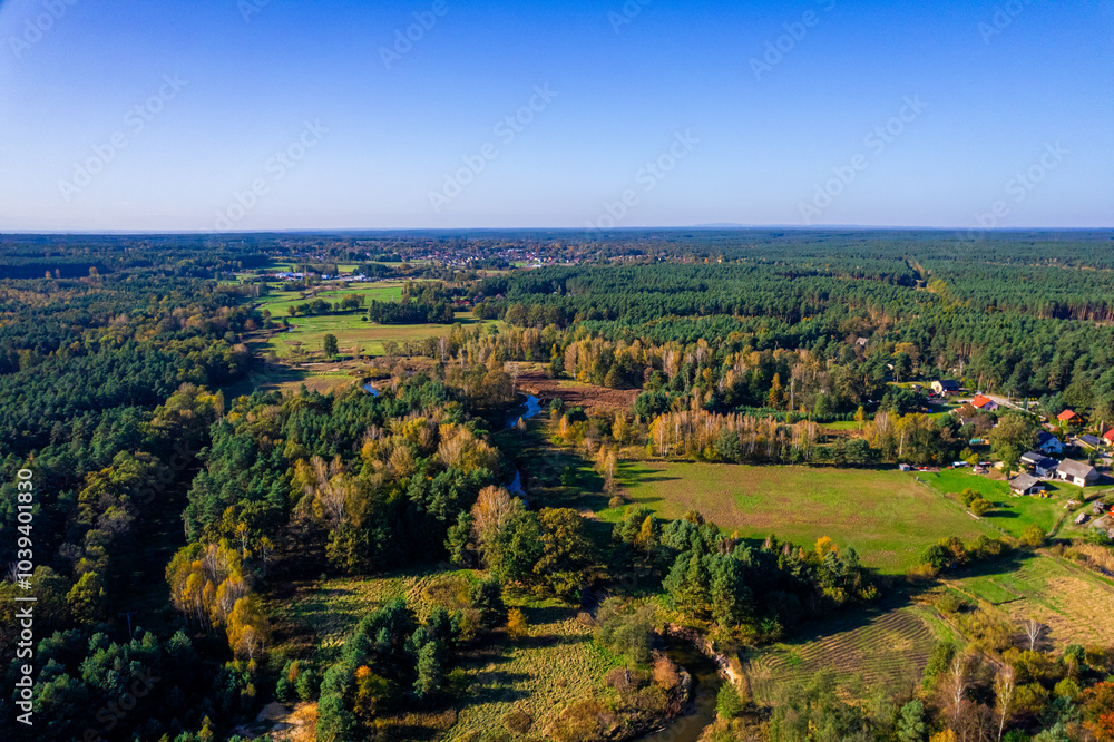 Lasy Rudzkie na Śląsku w Polsce, jesienią z lotu ptaka