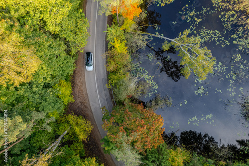 Aerial autumn morning view of colouful trees, forest, Green lakes (Zalieji ezerai) in Vilnius, Lithuania