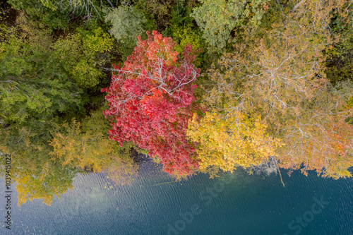 Aerial autumn morning view of colouful trees, forest, Green lakes (Zalieji ezerai) in Vilnius, Lithuania photo