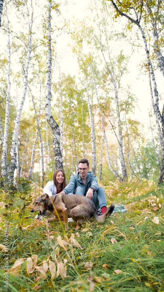 A woman and a man in love are walking in an autumn forest, in tall yellow grass, in fern leaves, a dog is walking next to them. A married couple is relaxing in nature during a walk with their beloved A woman and a man in love are walking in an autumn forest, in tall yellow grass, in fern leaves, a dog is walking next to them. A married couple is relaxing in nature during a walk with their beloved
