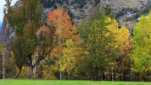 Color beauty of the autumn season
