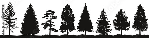 Silhouettes of various conifer trees create a striking forest scene in black and white.