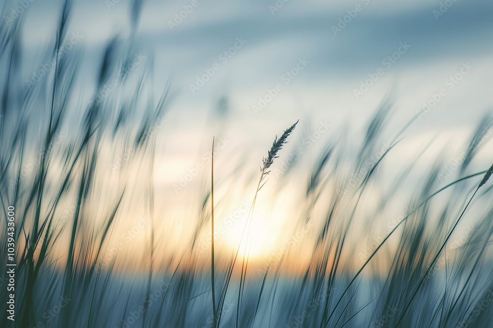 Tall grasses in focus against a soft blue sky, sunset in the distance, blurred background symbolizing nature’s beauty and freedom