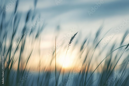 Tall grasses in focus against a soft blue sky, sunset in the distance, blurred background symbolizing nature’s beauty and freedom