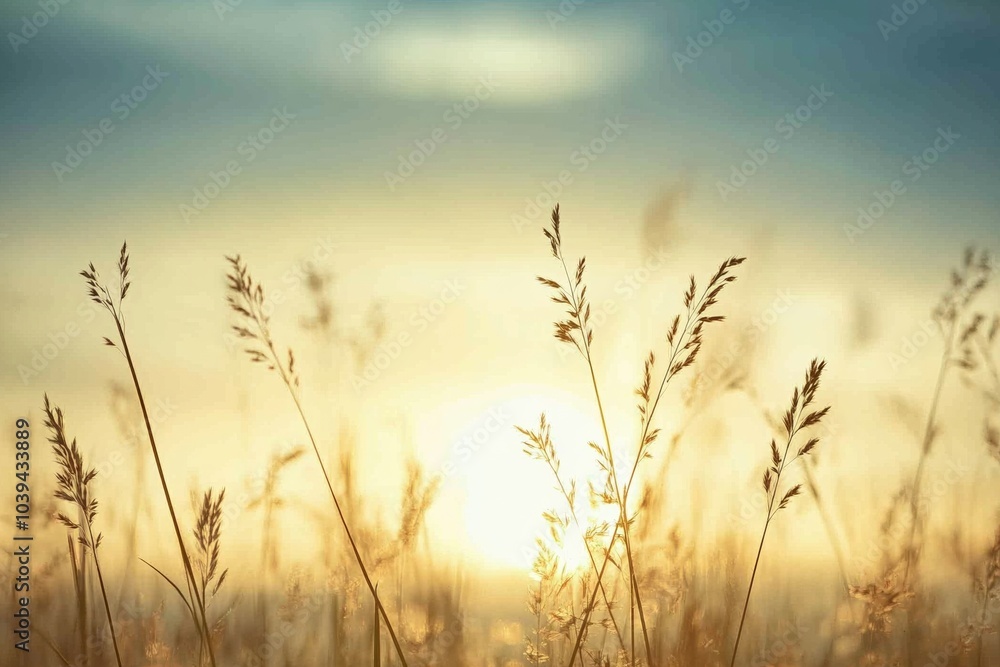 Tall grasses in focus against a soft blue sky, sunset in the distance, blurred background symbolizing nature’s beauty and freedom Tall grasses in focus against a soft blue sky, sunset in the distance, blurred background symbolizing nature’s beauty and freedom