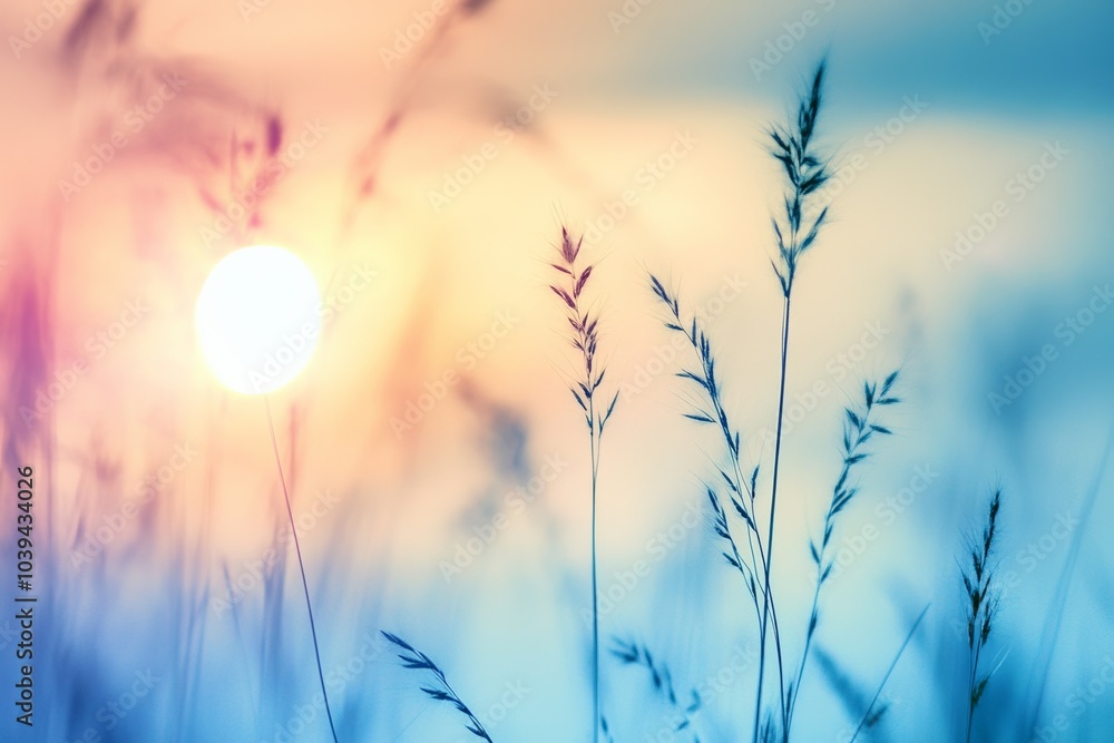 Tall grasses in focus against a soft blue sky, sunset in the distance, blurred background symbolizing nature’s beauty and freedom Tall grasses in focus against a soft blue sky, sunset in the distance, blurred background symbolizing nature’s beauty and freedom