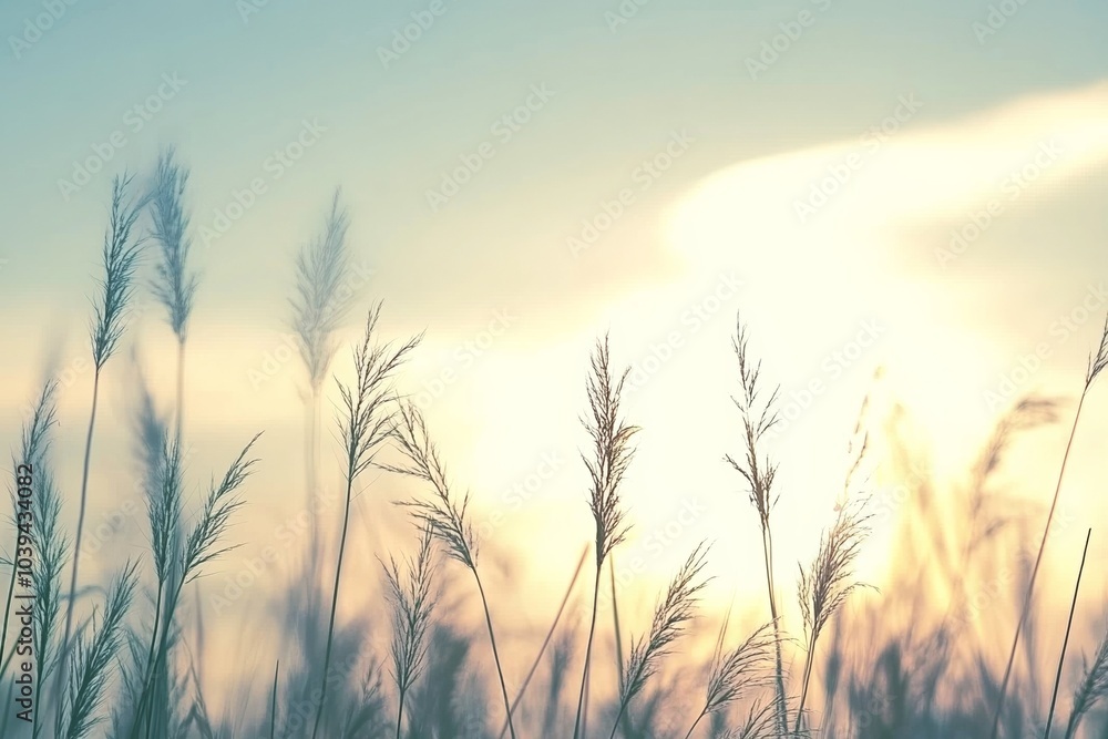 Tall grasses in focus against a soft blue sky, sunset in the distance, blurred background symbolizing nature’s beauty and freedom Tall grasses in focus against a soft blue sky, sunset in the distance, blurred background symbolizing nature’s beauty and freedom