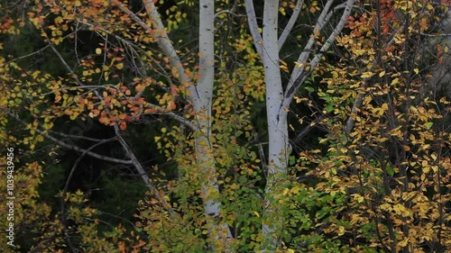 Color beauty of the autumn season
