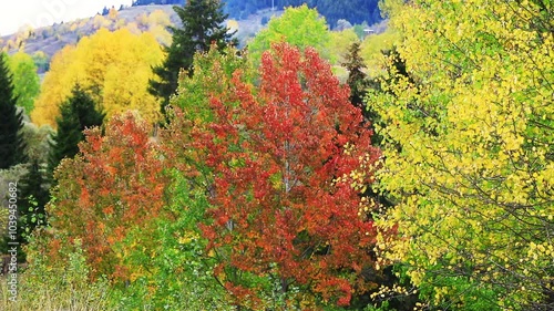 Color beauty of the autumn season
