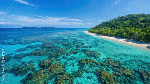 Vibrant Coral Reef Off Remote Island Coastline