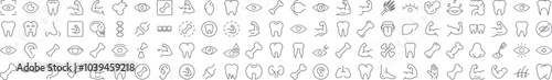 Bundles, Eye, Tooth, Muscle, Internal Organs Minimalistic Images Drawn with Thin Line. Collection of Various Design Elements that Can Be Used for Apps, Articles, Web Sites, Social Media